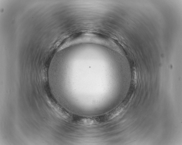 X0000086970272200704161551