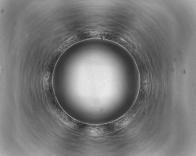 X0000086970275200704161551