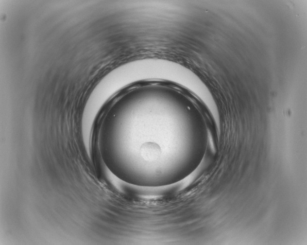 X0000086970276200704161551