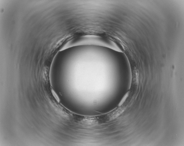 X0000086970280200704161551