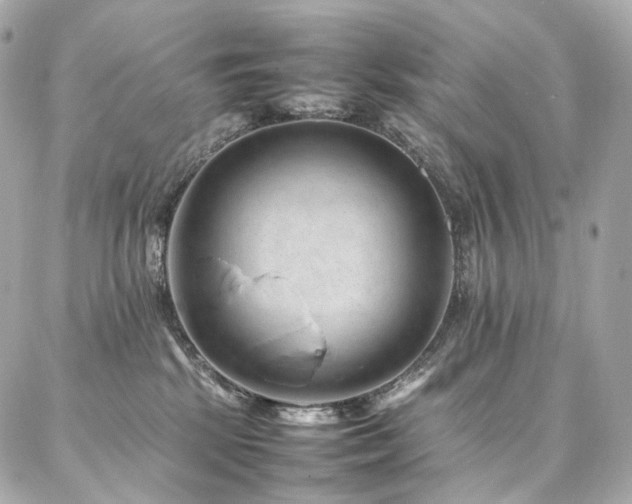 X0000086970281200704161551