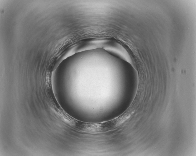 X0000086970288200704161551