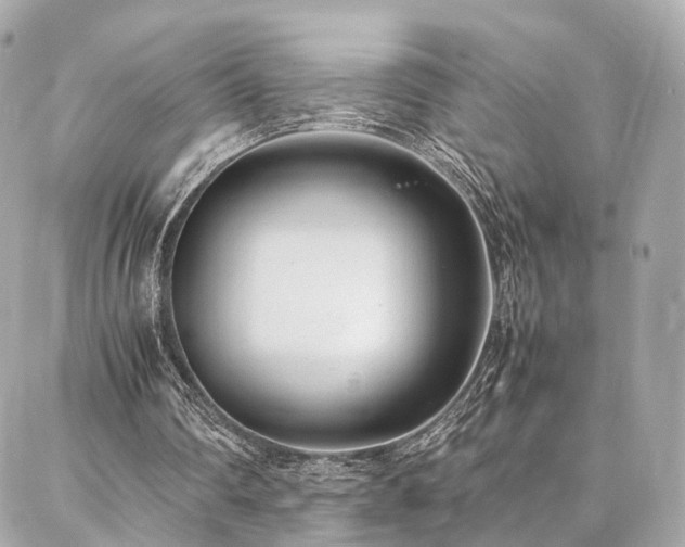 X0000086970290200704161550