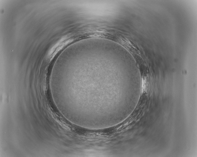 X0000086970291200704161550