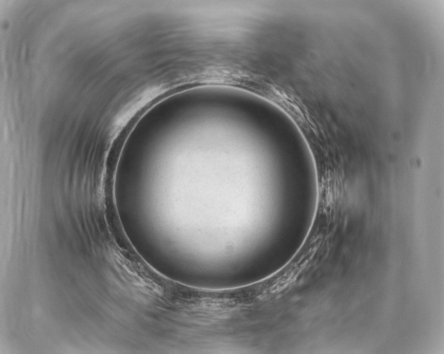 X0000086970292200704161550