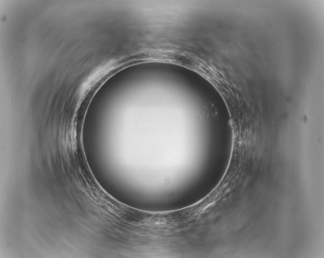 X0000086970294200704161550