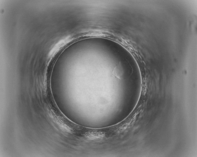 X0000086970296200704161550