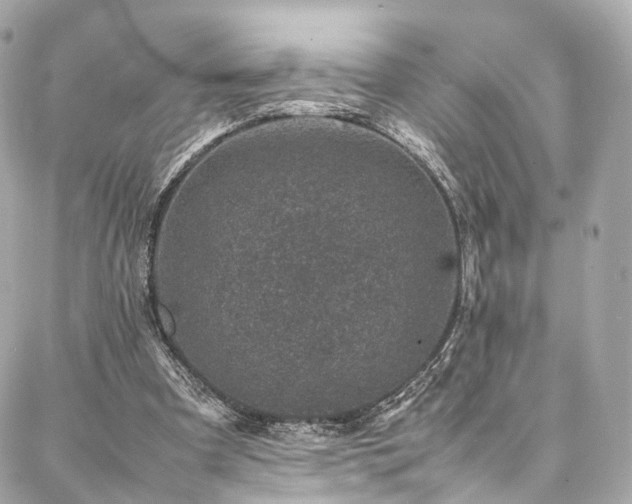 X0000086970297200704161550