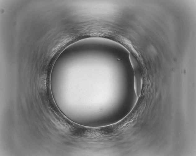 X0000086970299200704161550