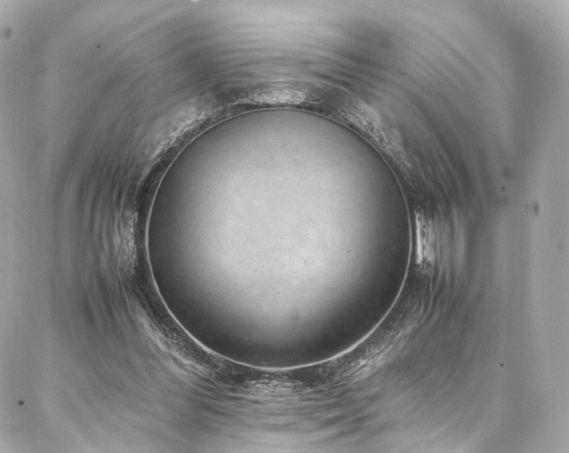 X0000086970300200704161550