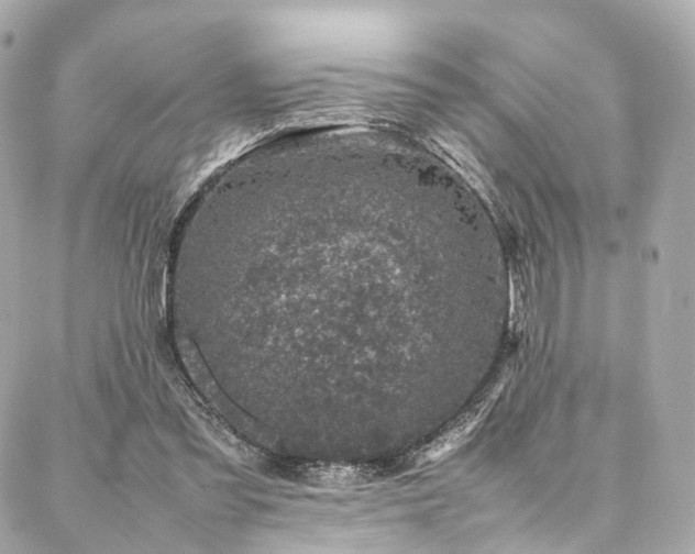 X0000086970301200704161550