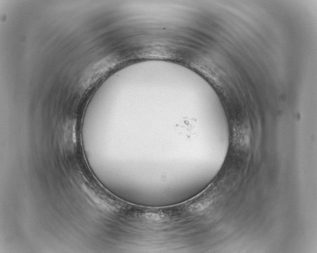 X0000086970302200704161550