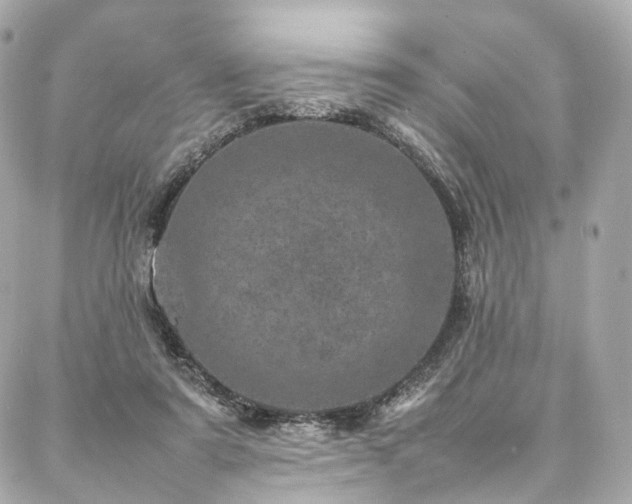 X0000086970307200704161550