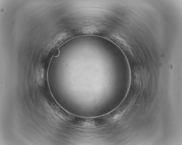 X0000086970308200704161550