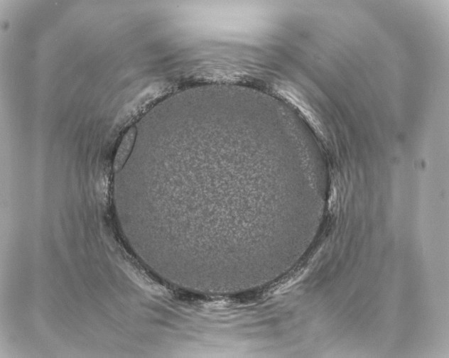 X0000086970309200704161550