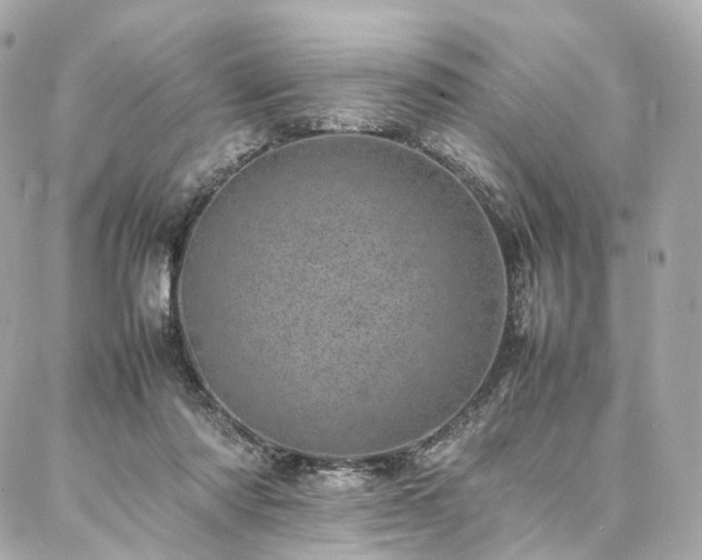 X0000086970310200704161550