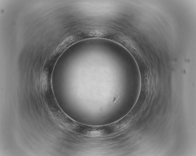 X0000086970312200704161550