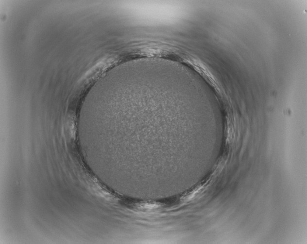 X0000086970313200704161550