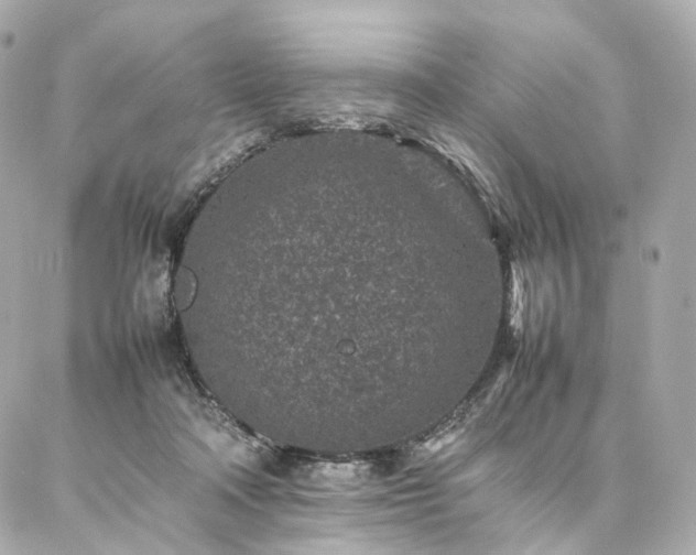 X0000086970314200704161550