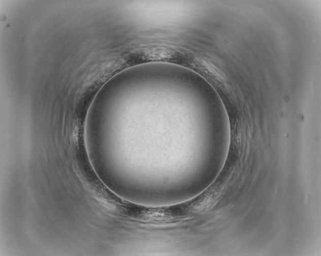 X0000086970315200704161550