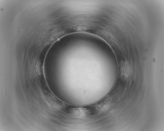 X0000086970316200704161550