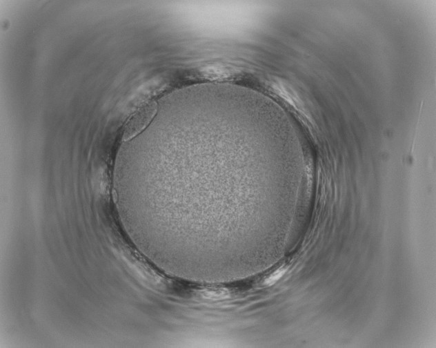 X0000086970317200704161550