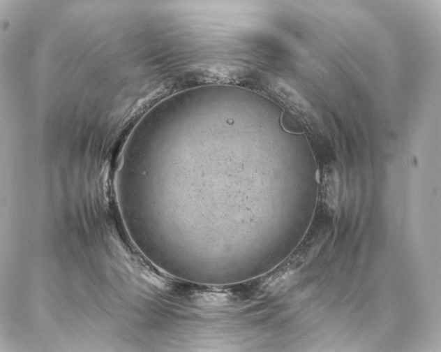 X0000086970318200704161550