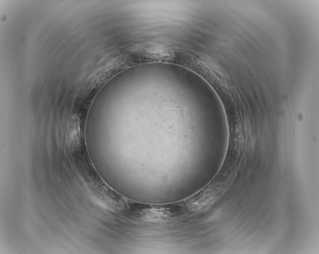 X0000086970320200704161550