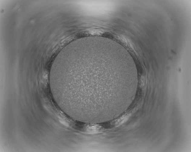 X0000086970321200704161550