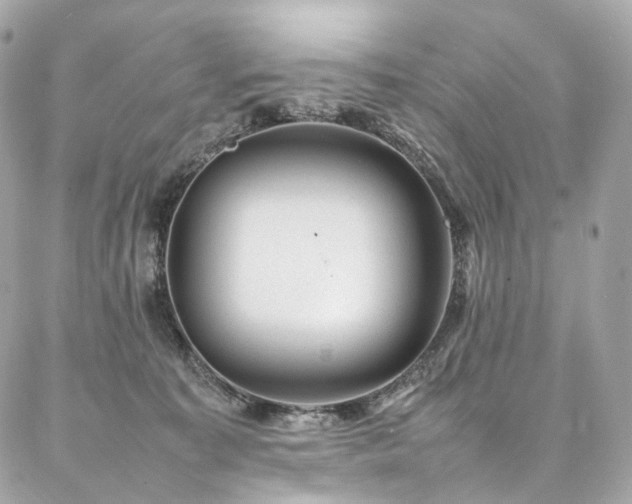 X0000086970323200704161550