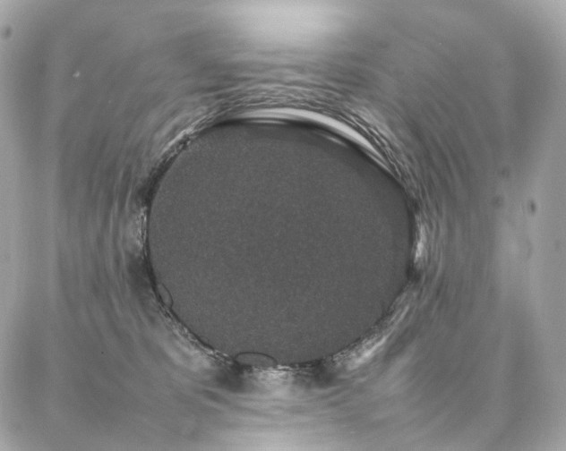 X0000086970325200704161550