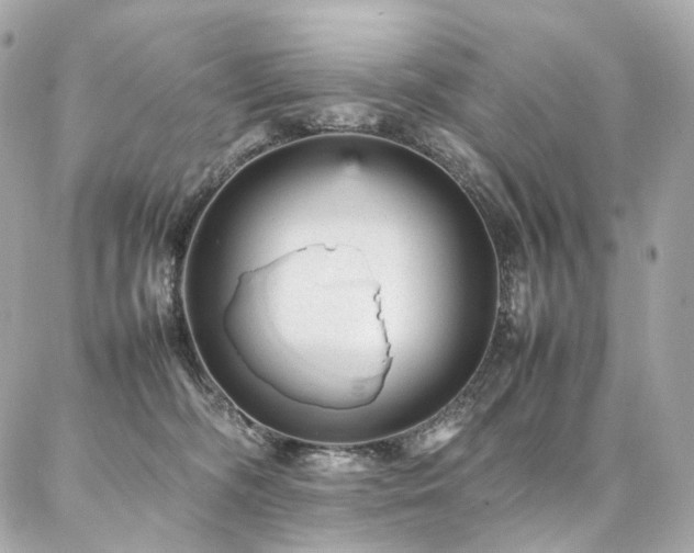 X0000086970326200704161550