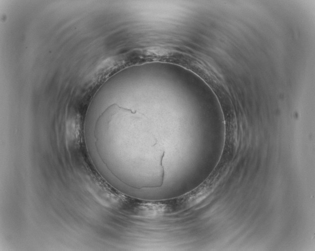 X0000086970328200704161550