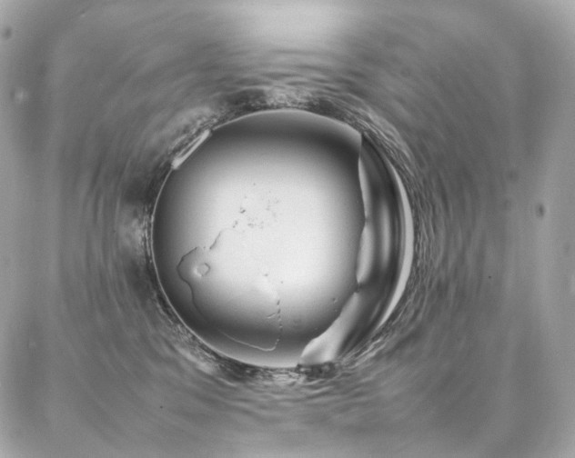 X0000086970329200704161550