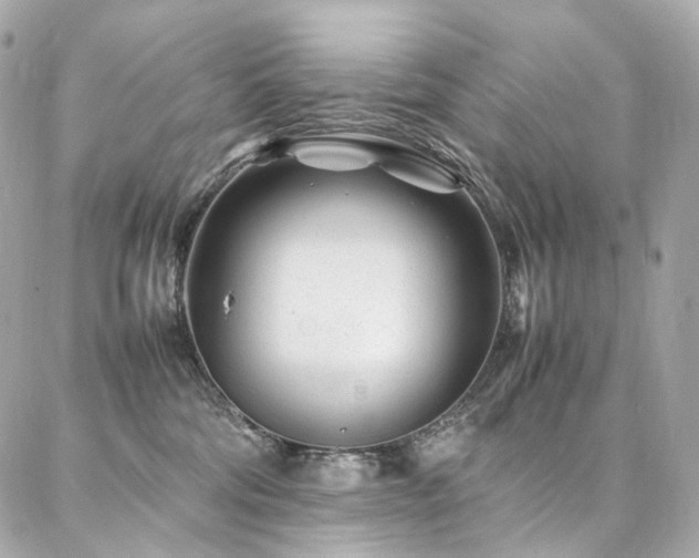 X0000086970330200704161550