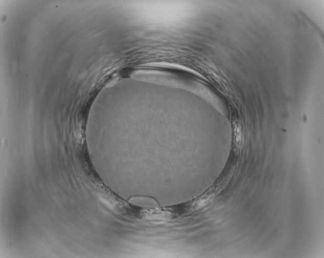 X0000086970331200704161550