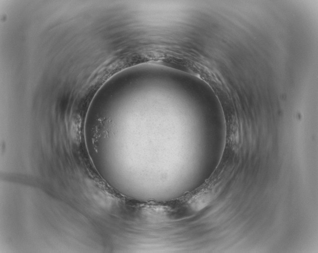 X0000086970332200704161550