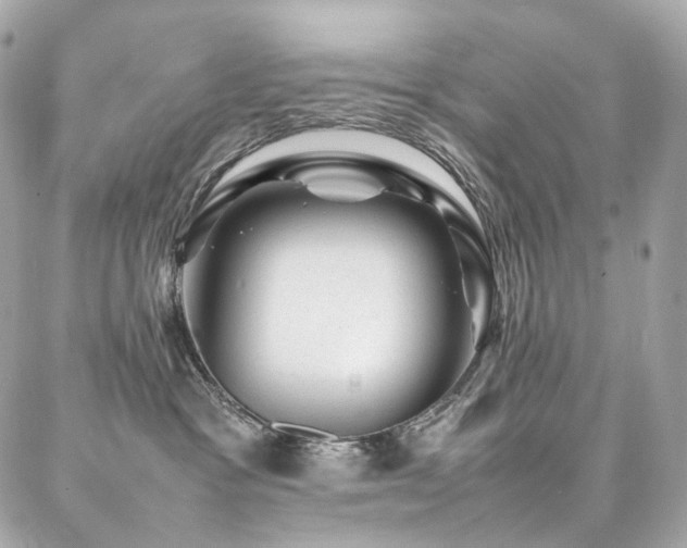 X0000086970333200704161550