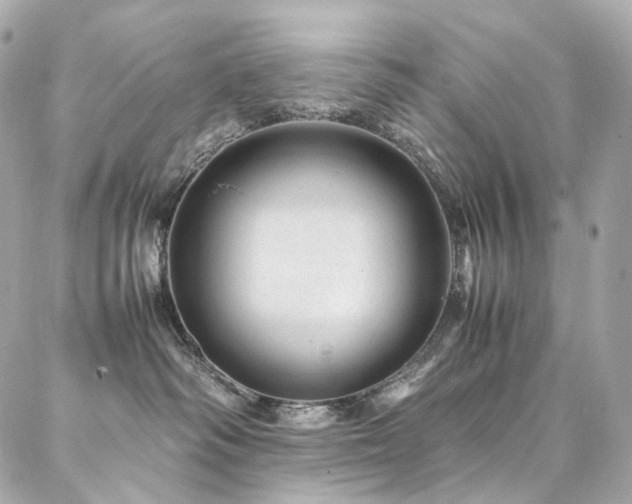 X0000086970334200704161550