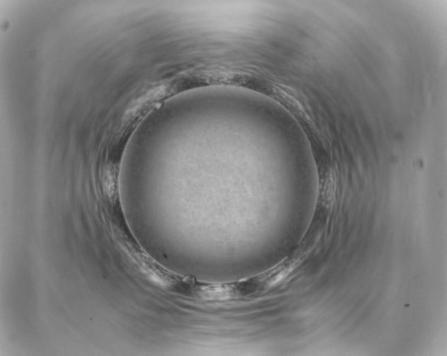 X0000086970335200704161549