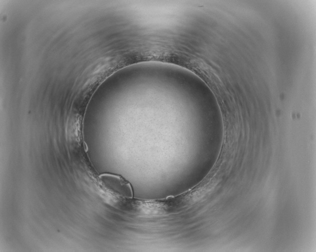 X0000086970336200704161549