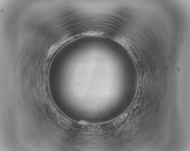 X0000086970337200704161549