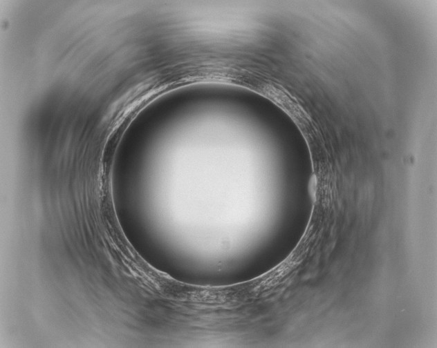 X0000086970338200704161549