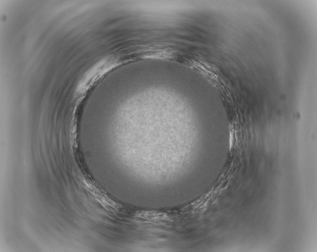 X0000086970339200704161549