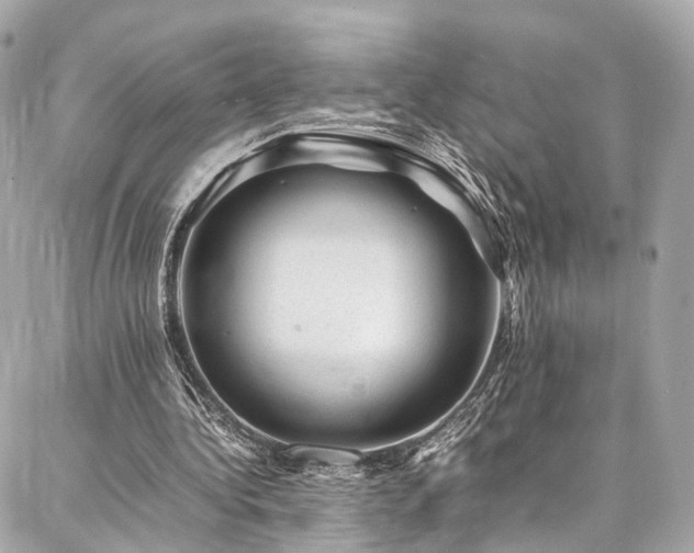 X0000086970340200704161549