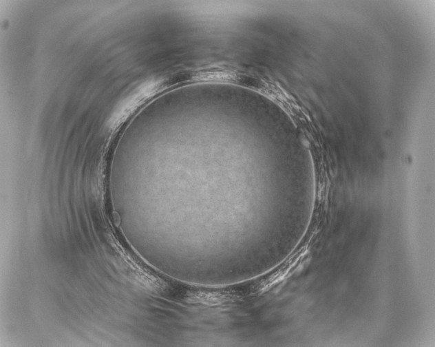 X0000086970341200704161549