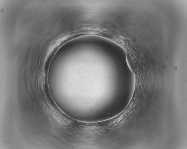 X0000086970342200704161549