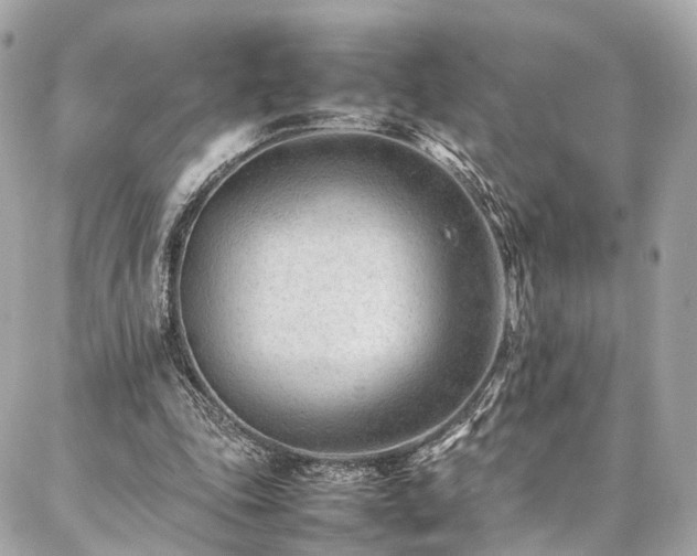 X0000086970343200704161549