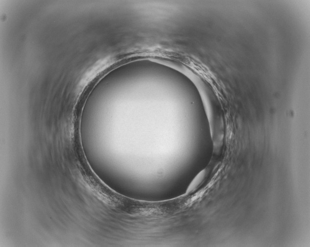 X0000086970344200704161549