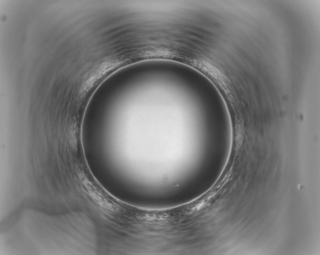 X0000086970345200704161549